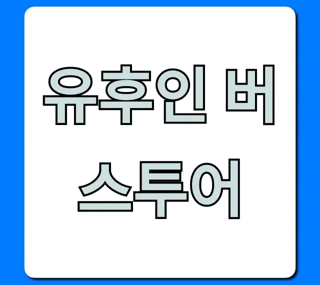 유후인 버스투어 후쿠오카 완벽 가이드