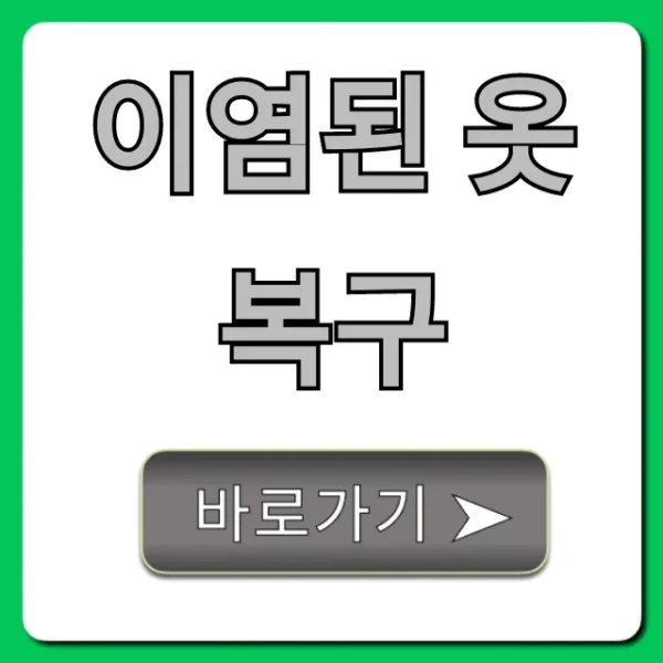 이염된 옷 복구 집에서 완벽 가이드