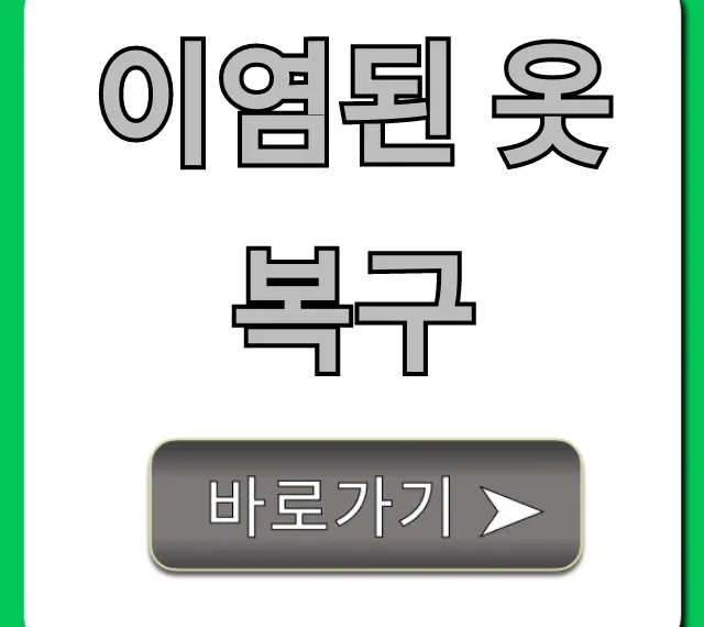 이염된 옷 복구 집에서 완벽 가이드