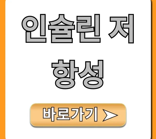 인슐린 저항성 완벽 가이드: 증상부터 개선 식단까지