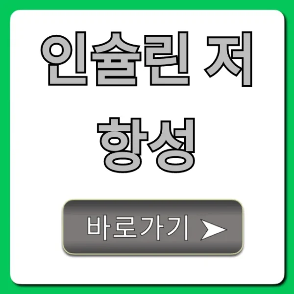 인슐린 저항성, 원인·증상·개선 총정리 가이드