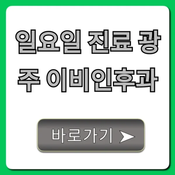 일요일 진료 광주 이비인후과 추천 병원 총정리