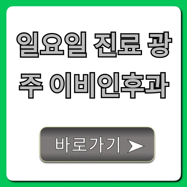 일요일 진료 광주 이비인후과 추천 병원 총정리