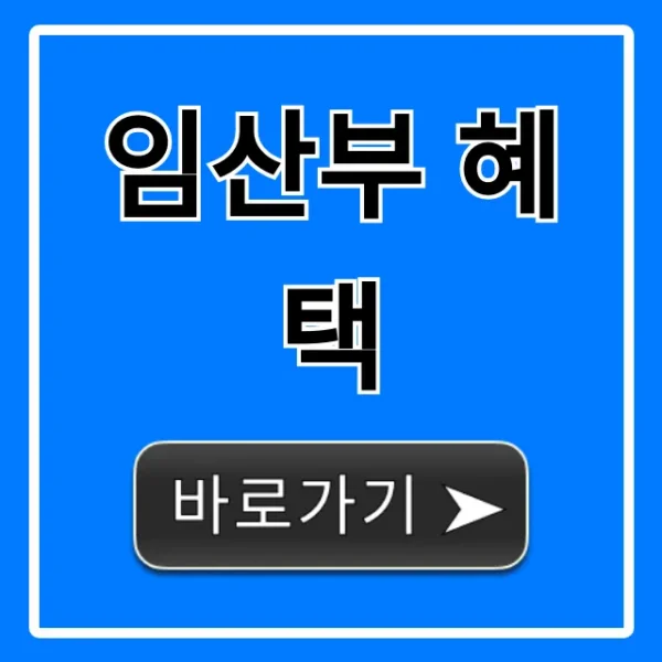 임산부 혜택 맘편한카드 지원금 신청방법 총정리