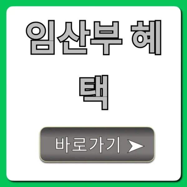 임산부 혜택 총정리: 정부 지원금부터 신청 방법까지