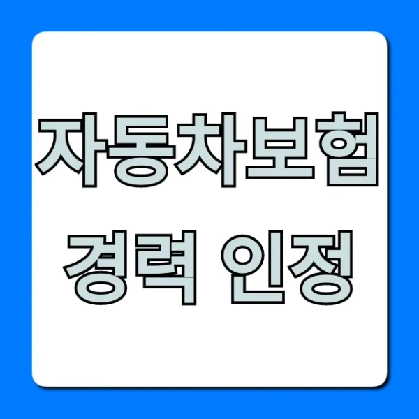자동차보험 경력 인정: 할인 조회 완벽 가이드