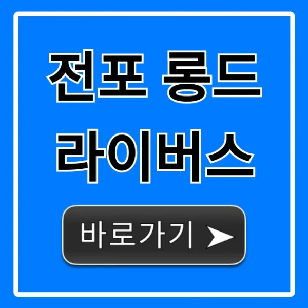 전포 롱드라이버스 비거리 레슨 가격 후기 총정리