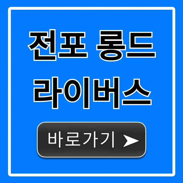 전포 롱드라이버스 비거리 레슨 가격 후기 총정리