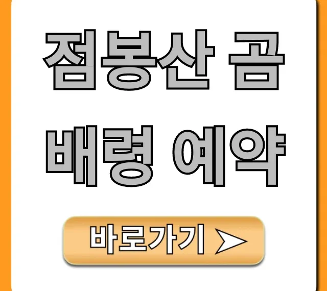 점봉산 곰배령 예약 성공 꿀팁 총정리