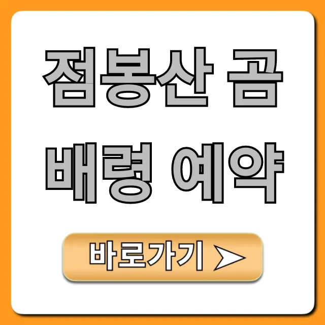 점봉산 곰배령 예약 성공 꿀팁 총정리