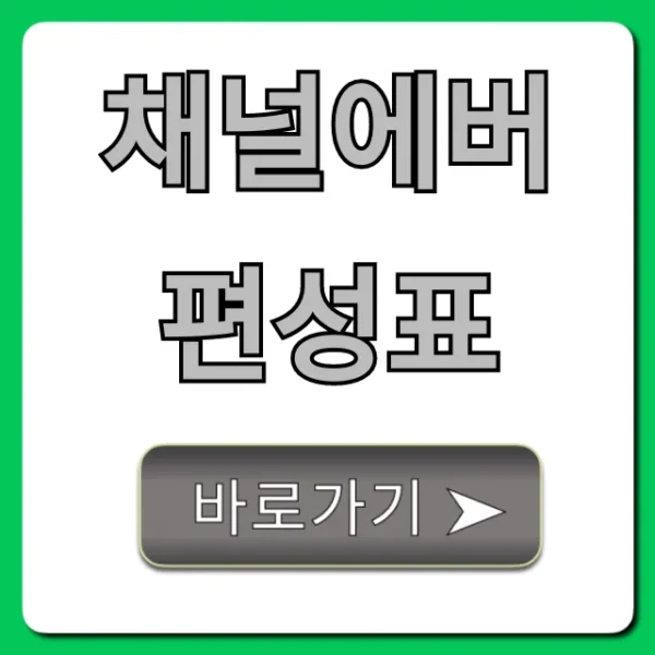채널에버 편성표 실시간 조회, 오늘 방송 완벽 정리