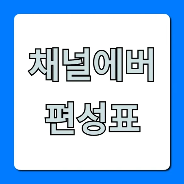 채널에버 편성표 실시간 확인 방법