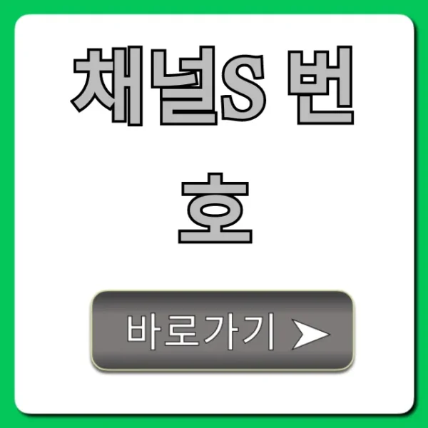 채널s 번호 지역별 조회 완벽 가이드