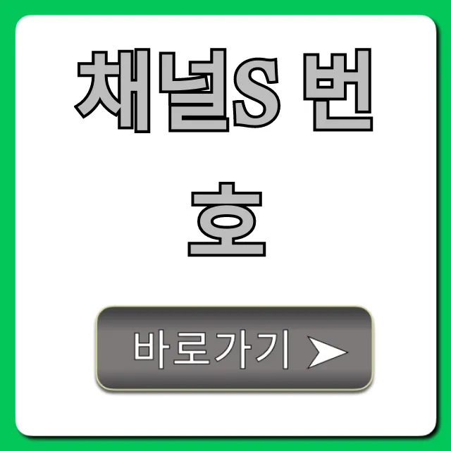 채널s 번호 지역별 조회 완벽 가이드