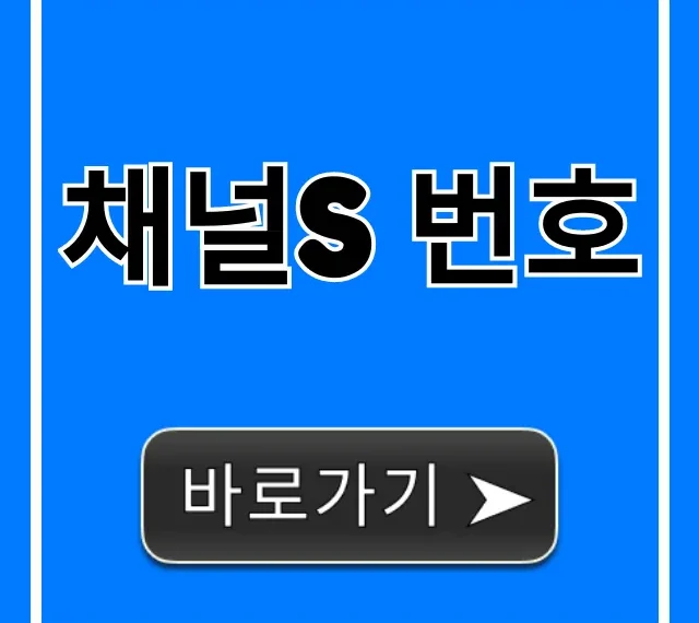 채널s 번호 IPTV 케이블 스카이라이프 총정리