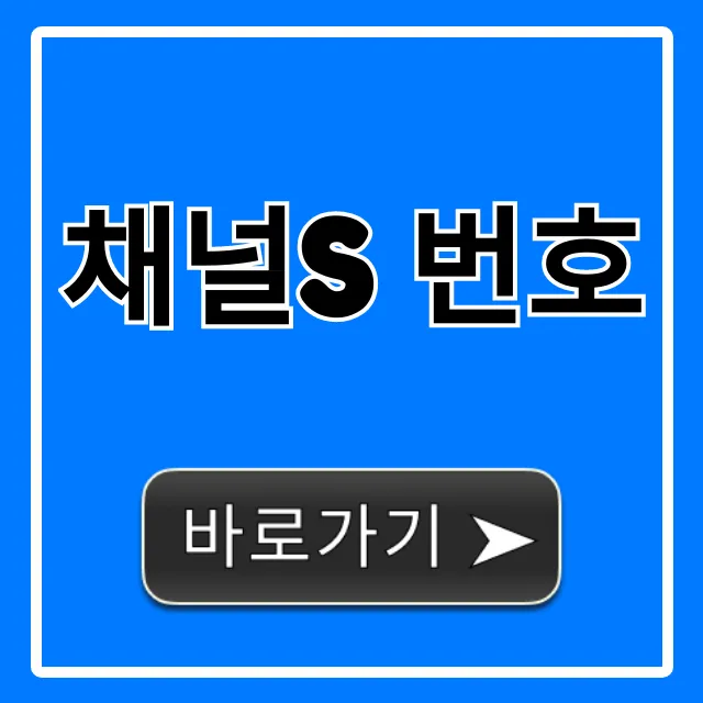 채널s 번호 IPTV 케이블 스카이라이프 총정리