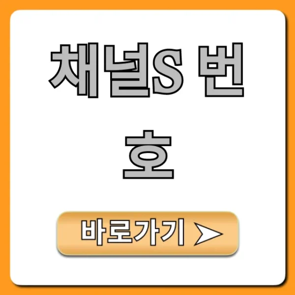 채널s 번호 IPTV 케이블TV 완벽 확인 가이드