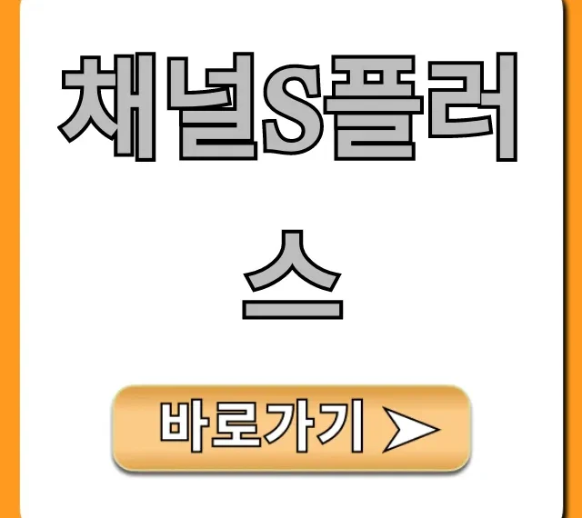 채널s플러스 시청 방법 및 편성표 완벽 가이드