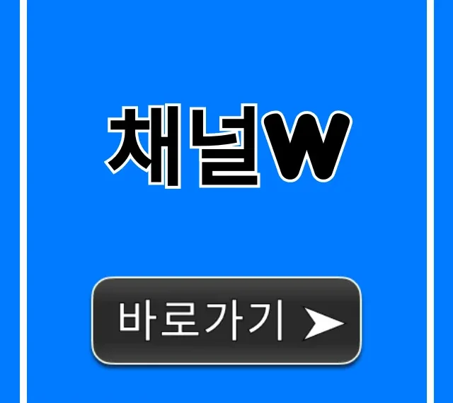 채널w 보는 법 완벽 총정리