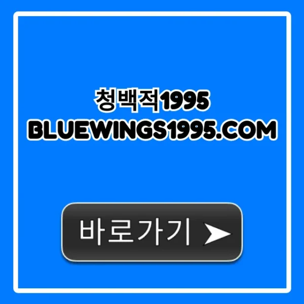 청백적1995 bluewings1995.com 가이드