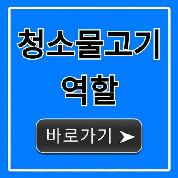 청소물고기 역할, 어항 이끼 제거 꿀팁 총정리