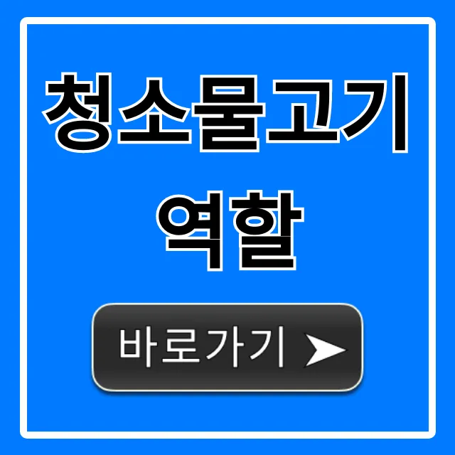 청소물고기 역할, 어항 이끼 제거 꿀팁 총정리