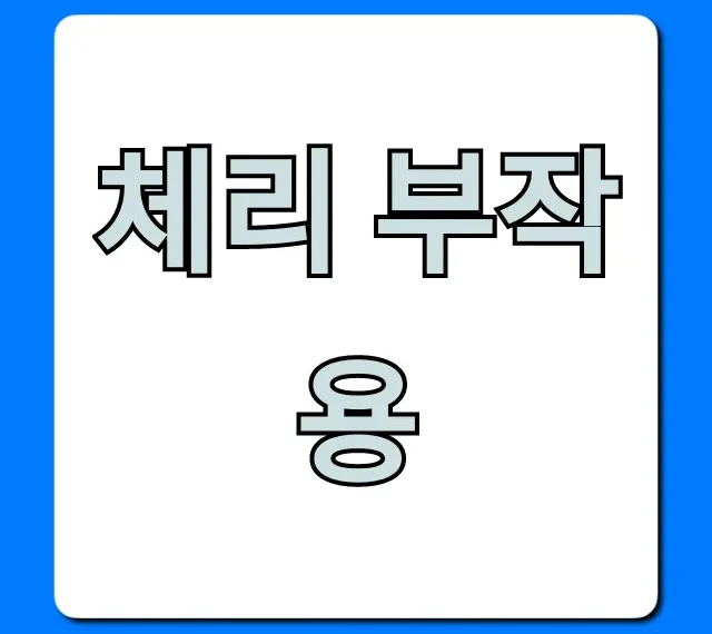 체리 부작용, 과다 섭취 전 꼭 봐야 할 증상 총정리