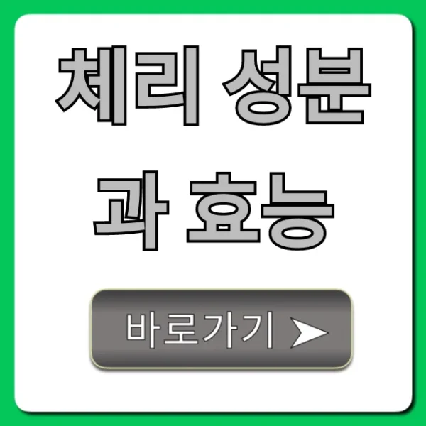 체리 성분과 효능: 건강 꿀팁 총정리