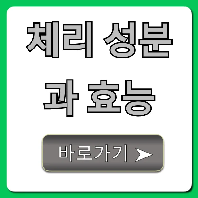 체리 성분과 효능: 건강 꿀팁 총정리