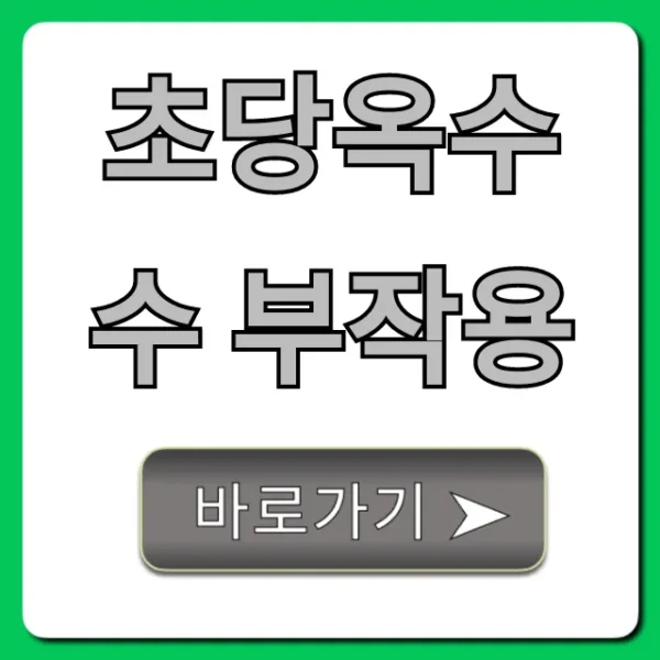 초당옥수수 부작용, 과다 섭취 주의사항 총정리