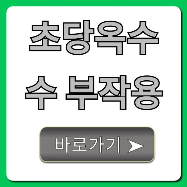 초당옥수수 부작용, 과다 섭취 주의사항 총정리