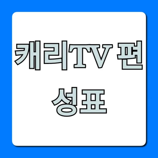 캐리tv 편성표 실시간 채널번호 완벽 가이드