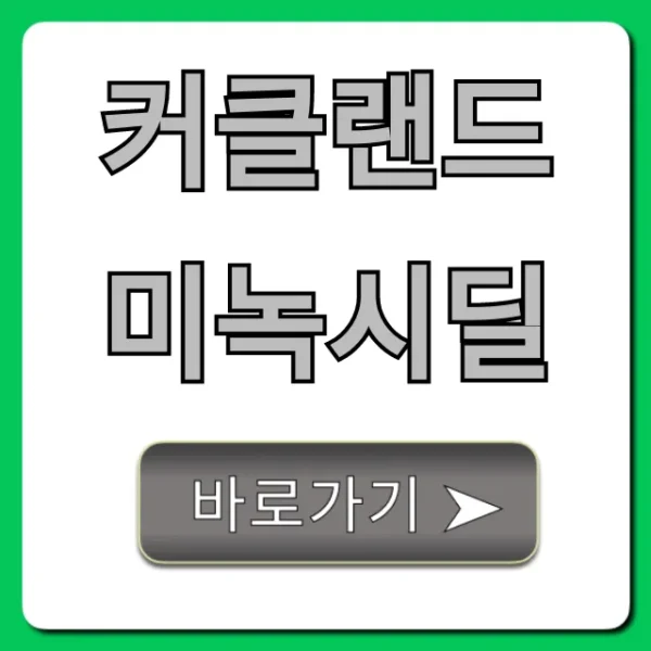 커클랜드 미녹시딜 직구 가격, 사용법 꿀팁!
