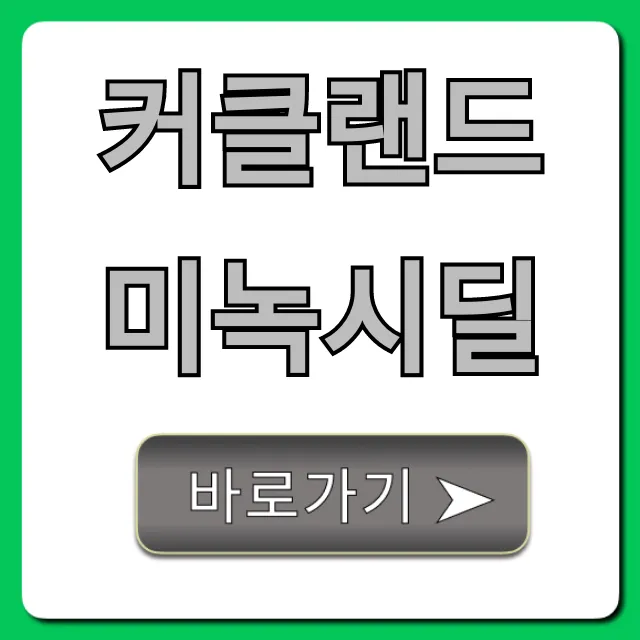 커클랜드 미녹시딜 직구 가격, 사용법 꿀팁!