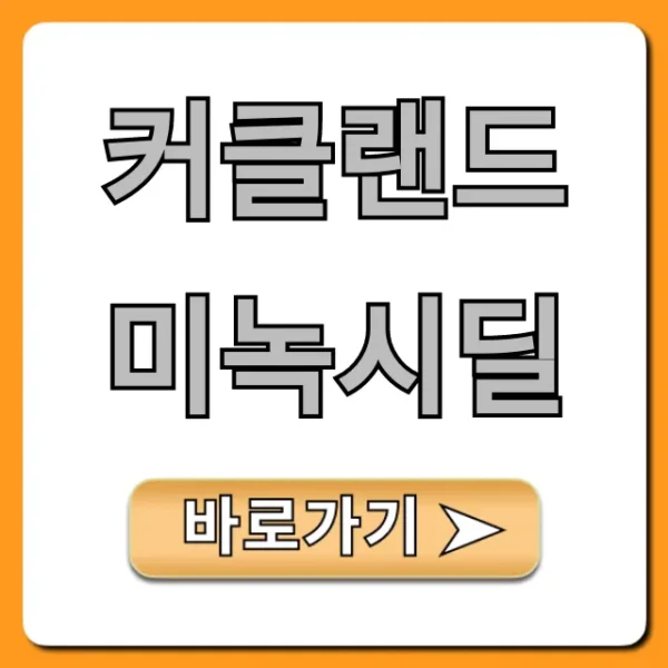 커클랜드 미녹시딜 탈모 후기 가격 총정리