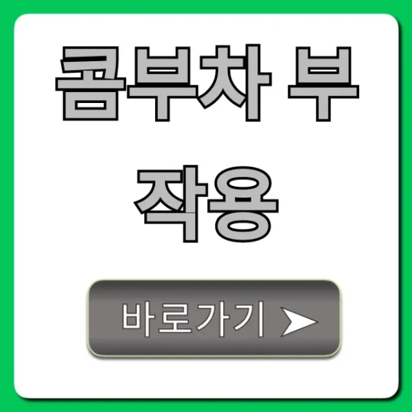 콤부차 부작용 알고 먹어야 할 주의사항 총정리