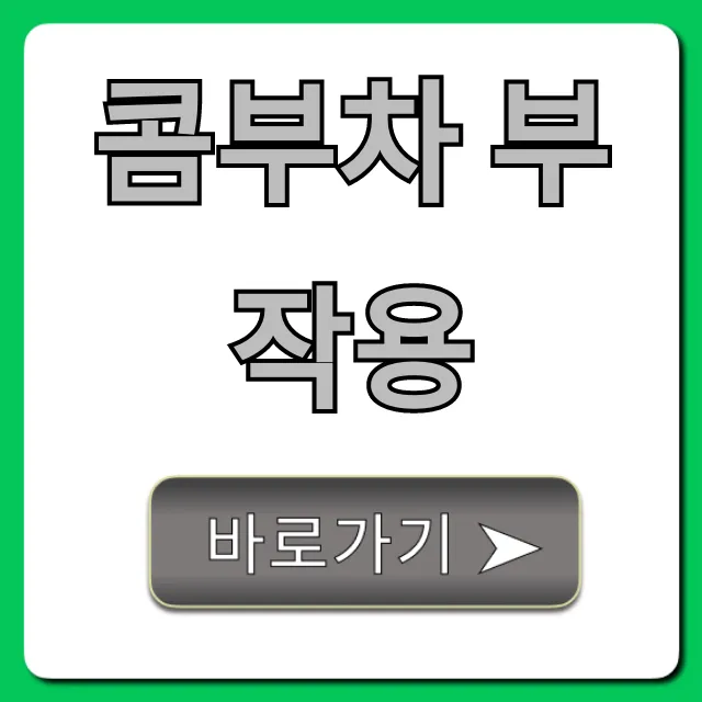 콤부차 부작용 알고 먹어야 할 주의사항 총정리