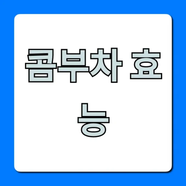 콤부차 효능, 다이어트 유산균 부작용 완벽 가이드