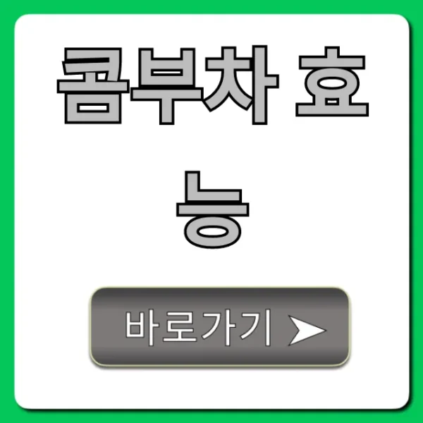 콤부차 효능, 장 건강 다이어트 꿀팁 완벽 가이드