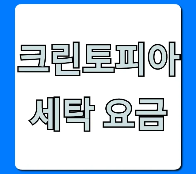 크린토피아 세탁 요금 가격표 총정리