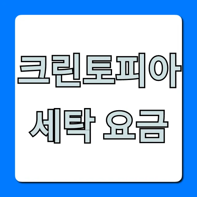 크린토피아 세탁 요금 가격표 총정리