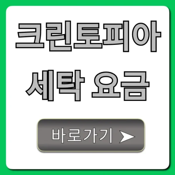 크린토피아 세탁 요금 최신 가격표 총정리