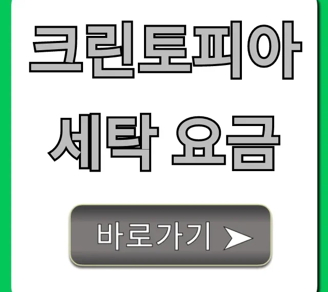 크린토피아 세탁 요금 최신 가격표 총정리