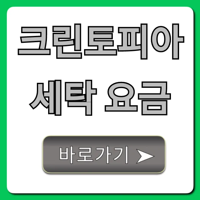 크린토피아 세탁 요금 최신 가격표 총정리