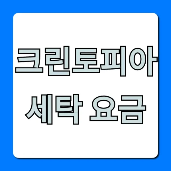 크린토피아 세탁 요금 할인 꿀팁 포함 총정리