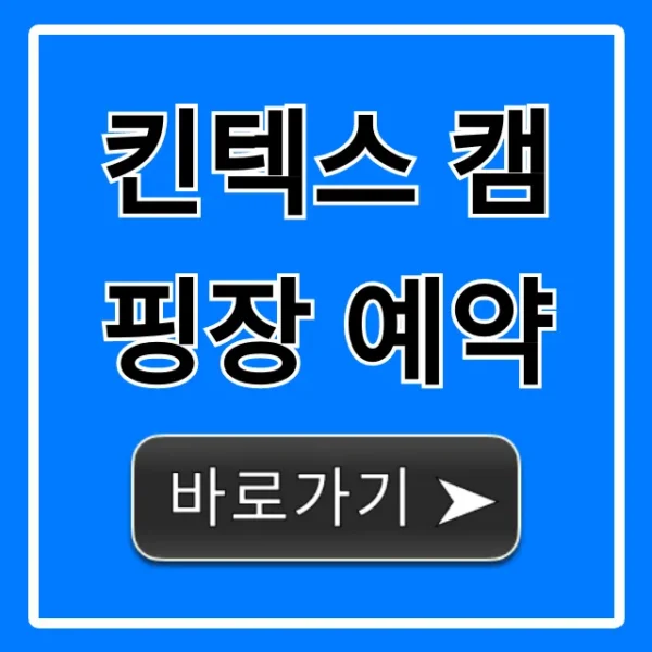킨텍스 캠핑장 예약: 가격, 명당 꿀팁 완벽 가이드