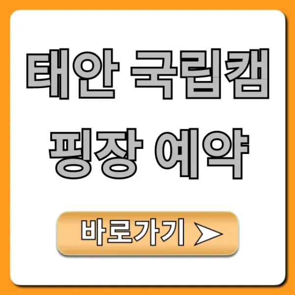 태안 국립캠핑장 예약 명당자리 성공 꿀팁