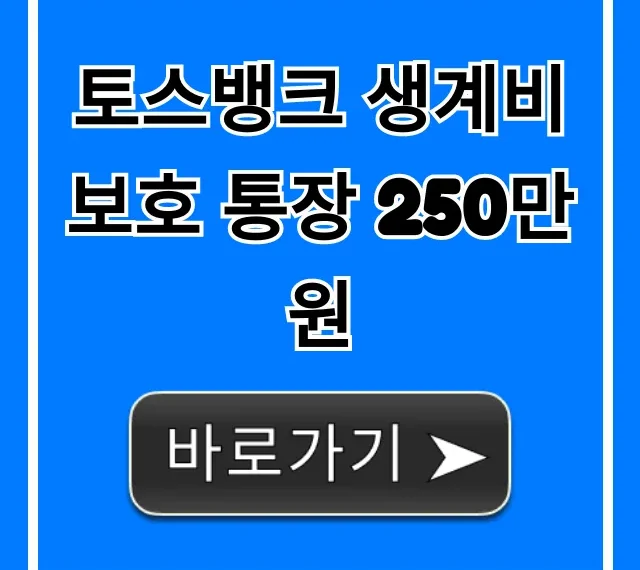 토스뱅크 생계비보호 통장 250만원: 신청 자격 및 방법 총정리