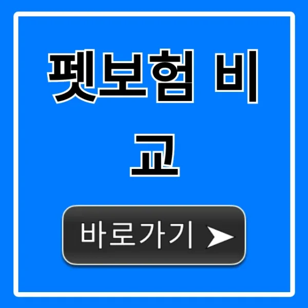 펫보험 비교, 2024년 최신 가입 꿀팁 총정리