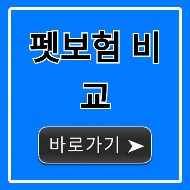펫보험 비교, 2024년 최신 가입 꿀팁 총정리